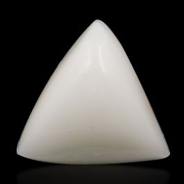 Japani White Coral 8.09 Carat 