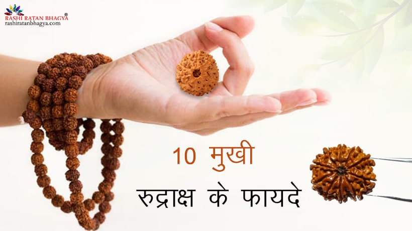 10 मुखी रुद्राक्ष के फायदे | 10 Mukhi Rudraksha Benefits