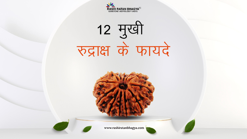 12 मुखी रुद्राक्ष के फायदे - 12 Mukhi Rudraksha ke fayde