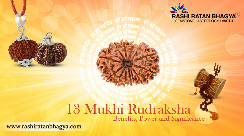 13 Mukhi Rudraksha Benefits and Power