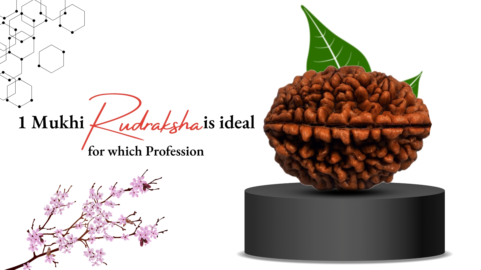 One Mukhi Rudraksha Ideal For Which Profession?