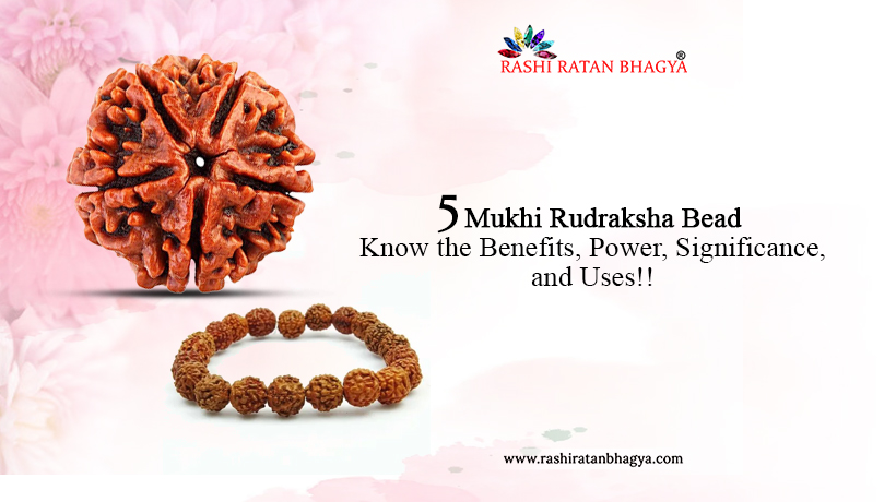 5 Mukhi Rudraksha Benefits For Everyone