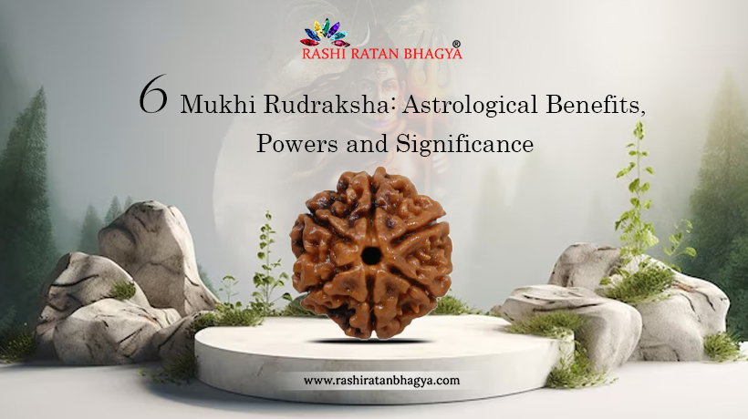6 Mukhi Rudraksha: Benefits, Power and Significance