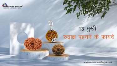 13 मुखी रुद्राक्ष के फायदे और नुकसान | 13 Mukhi Rudraksha Benefits in Hindi