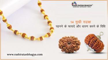 14 मुखी रुद्राक्ष के फायदे और नुकसान | 14 Mukhi Rudraksha Benefits in Hindi