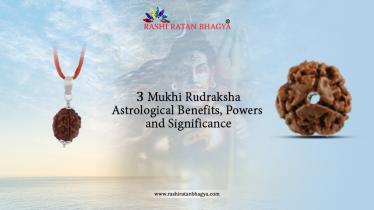 3 Mukhi Rudraksha: Healing Power, Meaning & Benefits