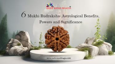 6 Mukhi Rudraksha: Benefits, Power and Significance