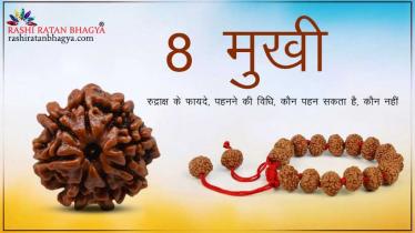8 मुखी रुद्राक्ष के फायदे और नुकसान | 8 Mukhi Rudraksha Benefits in Hindi