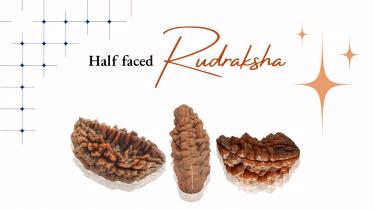 A Guide Half-Faced Rudraksha 