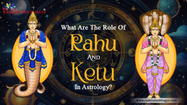 Role Of Rahu And Ketu | Effects in the 12 Houses