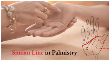 How to Read Simian Line In Palmistry