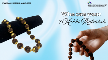 7 Mukhi Rudraksha: Who Can wear and How to wear?