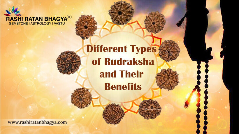 Explore 1 to 21 Mukhi Rudraksha Benefits