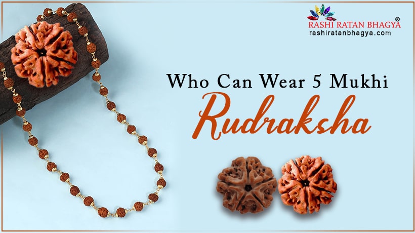 5 Mukhi Rudraksha: Who can wear it?