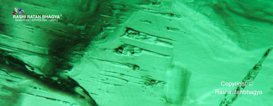 Needles Nature’s Threads