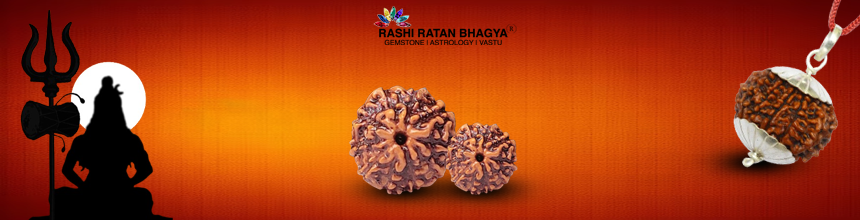 10 mukhi rudraksha ke niyam