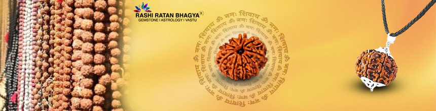 kyu pehne 10 mukhi rudraksha