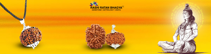 10 Mukhi Rudraksha ke fayde