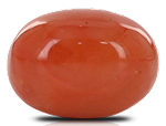 Red Coral