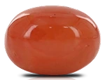 Red Coral