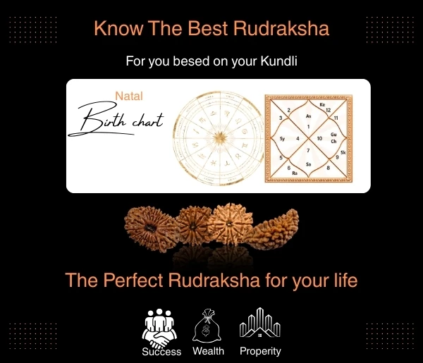 Rudraksh Recommendation